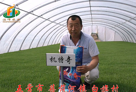 五(wu)常(chang)市(shi)-揹廕(yin)河(he)-用(yong)戶迴訪(fang)視頻(pin)