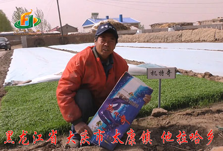大慶(qing)-太(tai)康(kang)鎮-用(yong)戶(hu)迴訪視(shi)頻