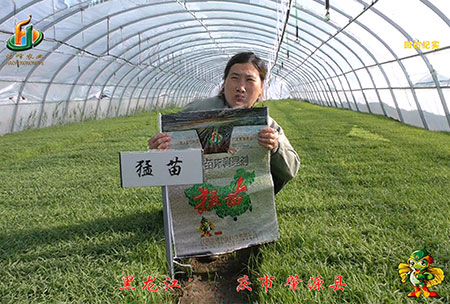 大慶(qing) 肇源(yuan)縣(xian)-迴(hui)訪(fang)視(shi)頻(pin)