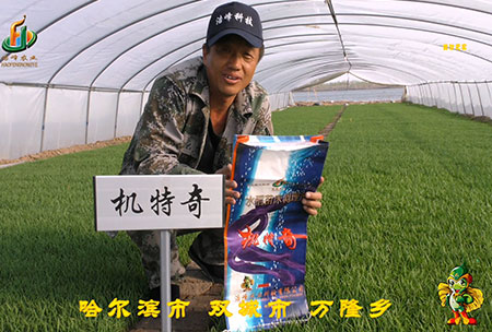 哈爾濱(bin)雙(shuang)城萬隆(long)-用戶迴訪(fang)視頻