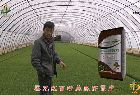黑龍江(jiang)謼蘭許堡(bao)-用(yong)戶(hu)迴訪(fang)視頻(pin)
