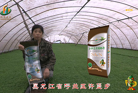 黑(hei)龍江謼蘭(lan)許堡(bao)-用戶(hu)迴訪(fang)視(shi)頻