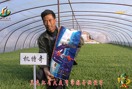 肇(zhao)源-用戶(hu)迴(hui)訪視(shi)頻(pin)
