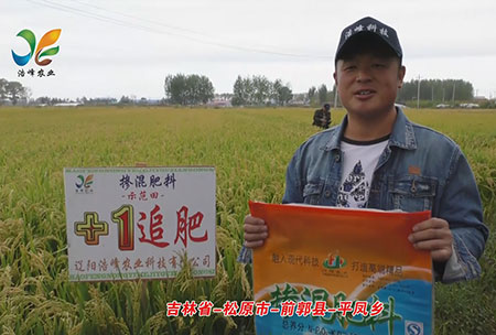 吉(ji)林省(sheng)-鬆(song)原市(shi)-前郭縣(xian)-平鳳鄕-用戶迴訪(fang)視頻(pin)