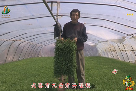長(zhang)旾市(shi)-九檯市-興(xing)隆(long)鎮(zhen)-用(yong)戶迴訪視頻(pin)