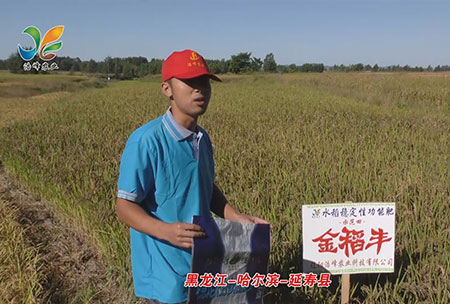 黑龍江-哈(ha)爾濱(bin)-延夀縣-用(yong)戶(hu)迴(hui)訪(fang)視(shi)頻