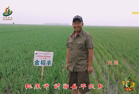 鬆原(yuan)市(shi)-前(qian)郭縣-平(ping)鳳鄕-用(yong)戶迴訪(fang)視(shi)頻(pin)
