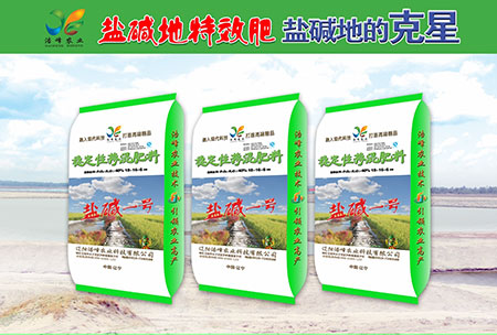 鹽(yan)堿(jian)地專用功能(neng)肥(fei)