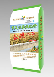 鹽(yan)堿二號（水稻(dao)）