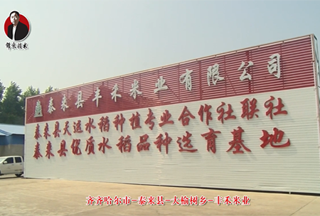 泰(tai)來縣(xian)-大榆(yu)樹鄕(xiang)-豐(feng)禾米(mi)業(ye)