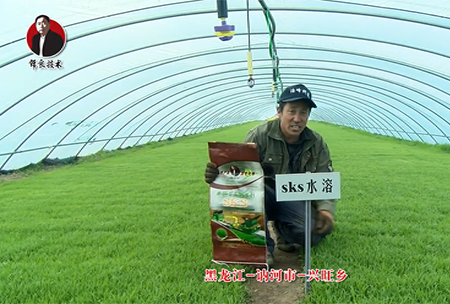黑龍江(jiang) 訥(ne)河(he)市 興旺(wang)鄕(xiang)