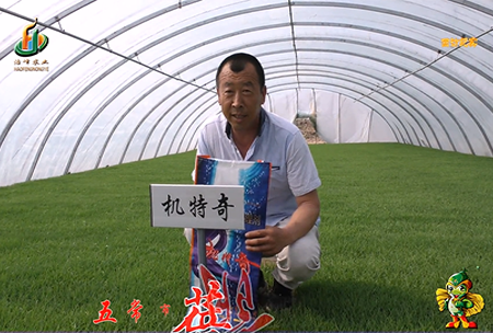 五(wu)常(chang)市(shi) 蓓廕河(he)1