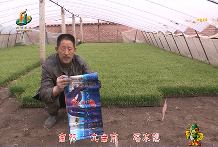 吉(ji)林其(qi)墖(ta)木鎮1