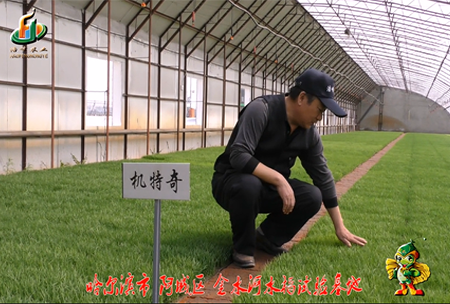 哈(ha)爾濱金(jin)水(shui)河(he)基地0