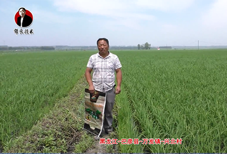 巴彥縣(xian)-萬(wan)髮(fa)鎮(zhen)-興北邨
